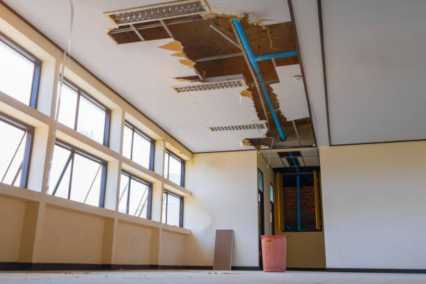 Best Flooded house restoration  in Martsville, IN