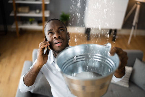 Best Flood damage cleanup  in Martsville, IN