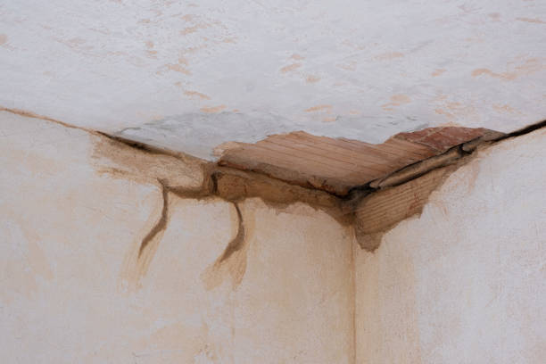 Best Water damage restoration near me  in Martsville, IN