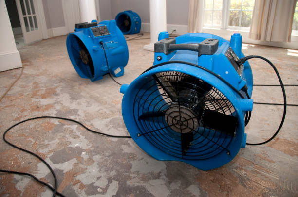 Reliable Martinsville, IN Water damage restoration Solutions