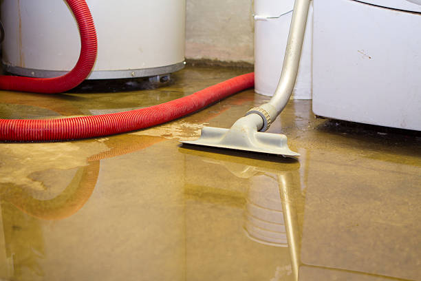 Best Water damage cleanup near me  in Martsville, IN