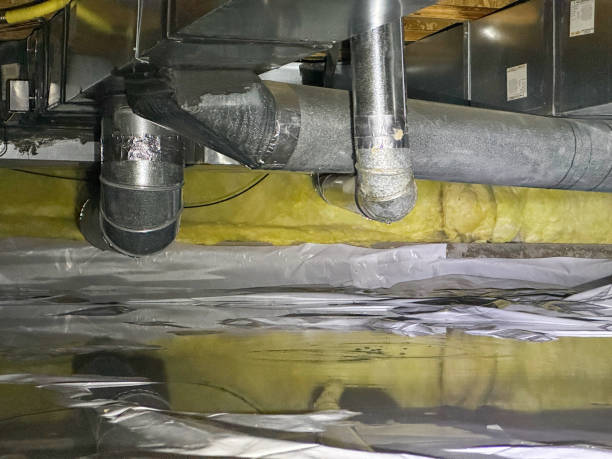 Best Mold removal after water damage  in Martsville, IN