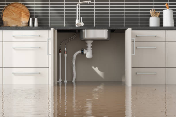Best 24/7 water damage repair  in Martsville, IN