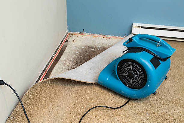 Best Emergency water damage restoration  in Martsville, IN